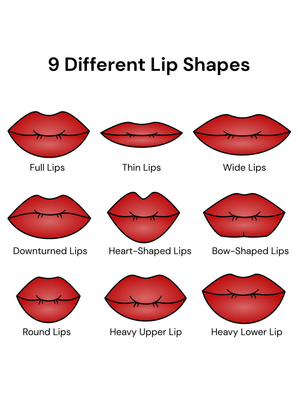 Types of Lip Shapes